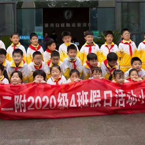 走进白蚁的王国