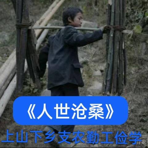 《人世沧桑》之上山下乡、支农、勤工俭学