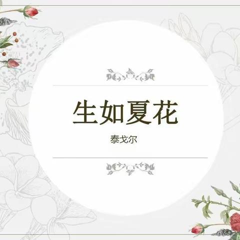 生如夏花之绚烂，死如秋叶之静美          ——《金城档案》影评