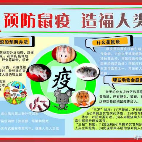 临河区新华镇份子地中心卫生院开展鼠疫防控知识讲座