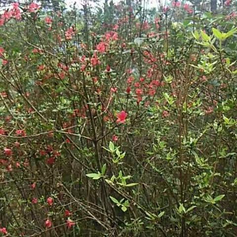 生活的点点滴滴！