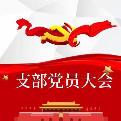 娜荷芽幼儿园支部党员大会