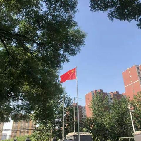 子龙东校区的美篇
