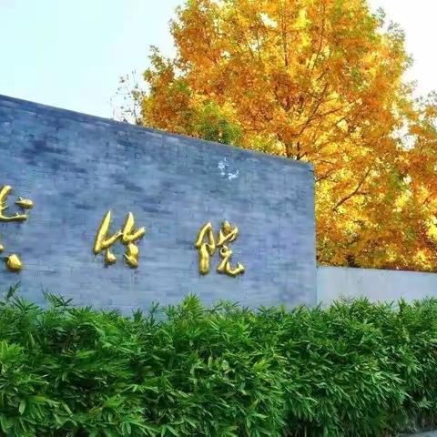 深秋游紫竹院