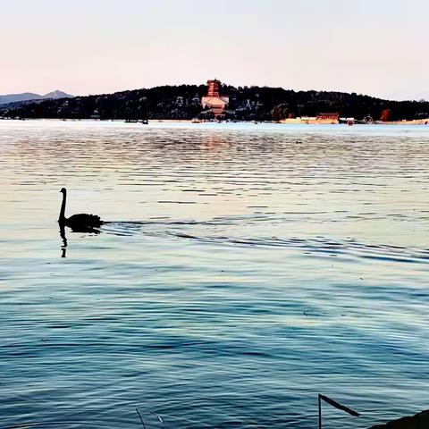 落日余晖映昆明湖🌄