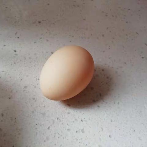 煎鸡蛋——三年级（1）班   张育宁