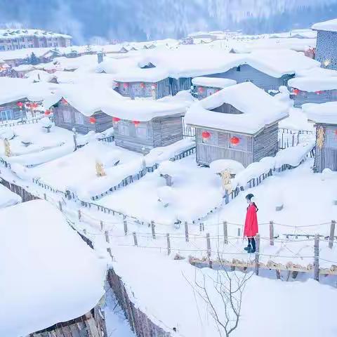 冬