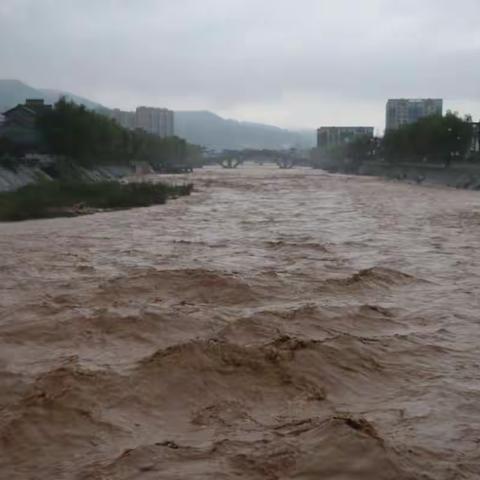 践行初心使命，防汛抢险彰显住建精神