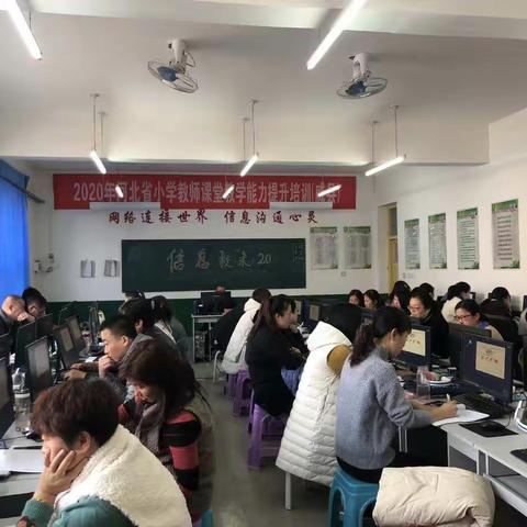2020年河北省小学教师课堂教学能力提升培训（威县）