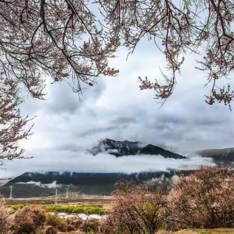 我的西藏行美篇……那个神秘的地方 图/文:云风