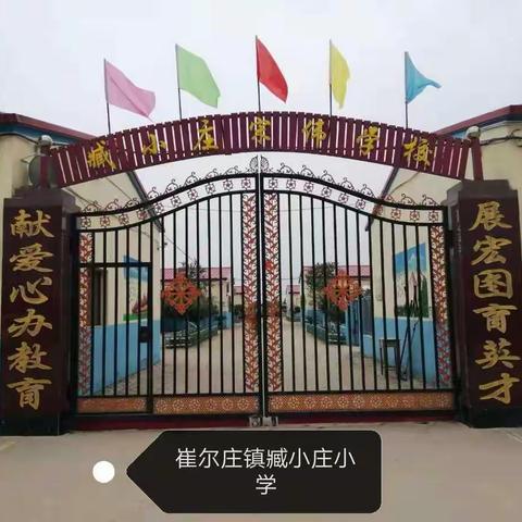 沧县崔尔庄镇臧小庄小学冰雪运动会陆地冰壶比赛纪实