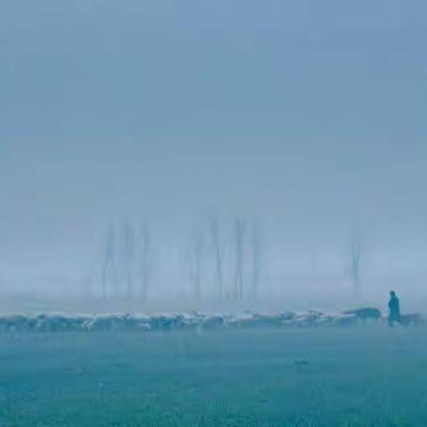 裴庄的雾（五）