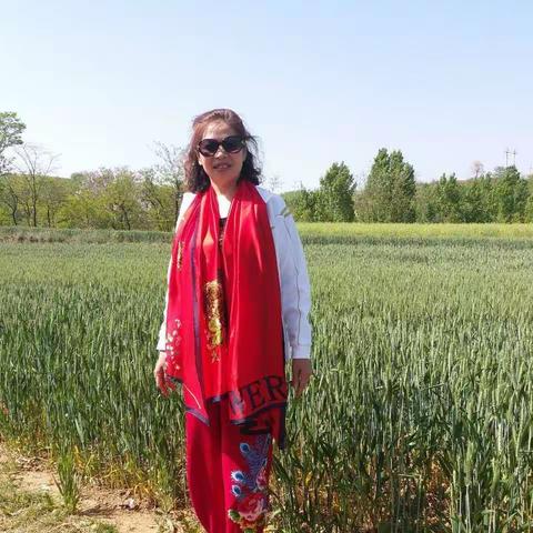 轻风云谈五月花