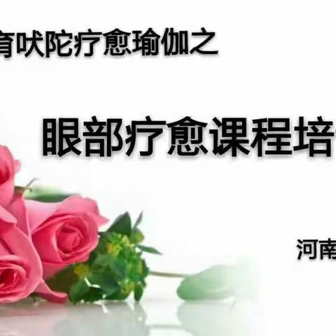 眼部疗愈培训.河南站