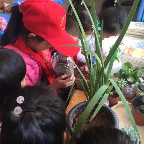孤小快樂「知行園」