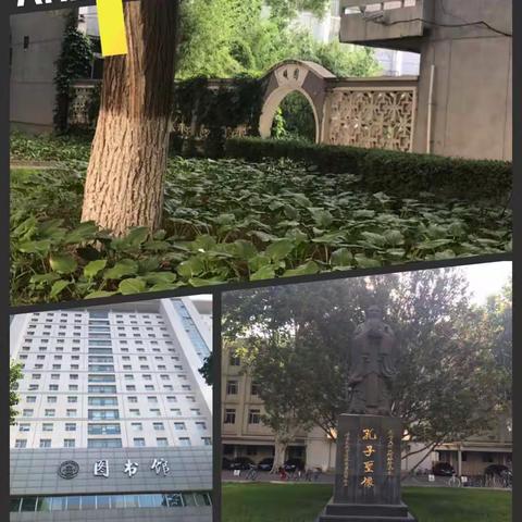 小学英语六组 提升专业技能，铸造核心素养