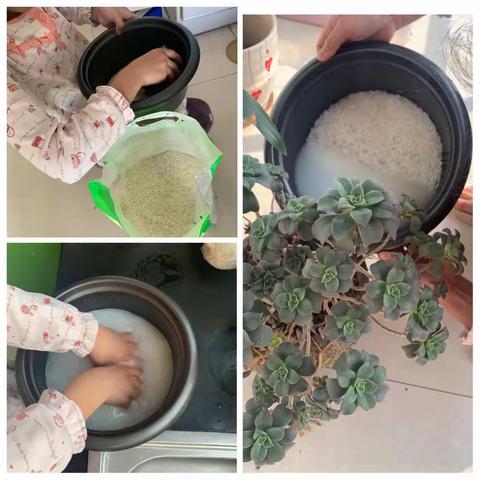 王星逸小厨师的鸡肉咖喱饭🍛