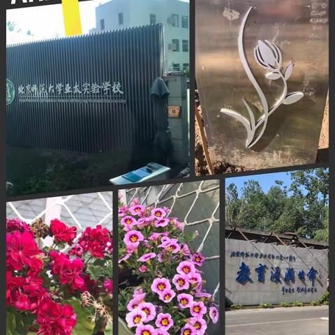 小学英语六组全体成员—名校考察学习、借鉴窥宝！