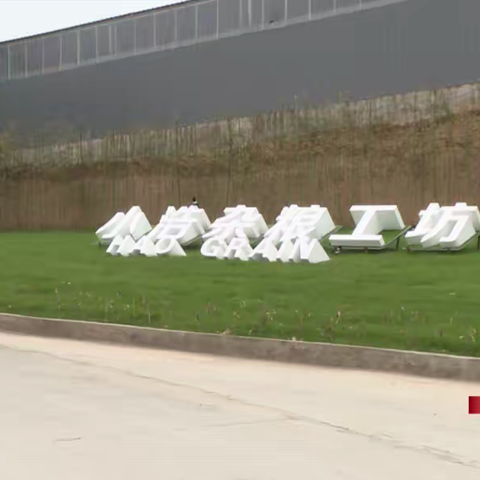 巩义小浩杂粮工坊：杂粮精做 延伸农产品深加工产业链