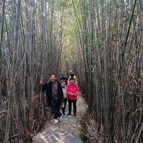 从三十六绞上七星山