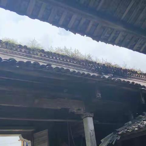 顿悟！