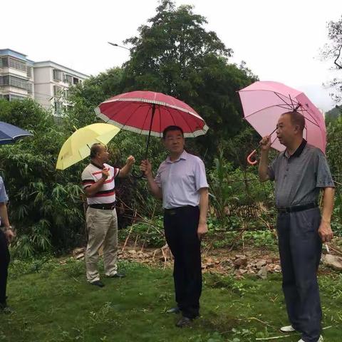 雨中行，集团董事白沙调研。