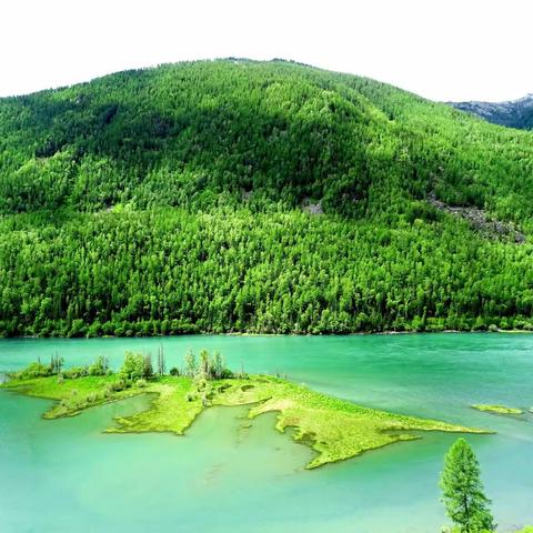 一路向北   喀纳斯  贾登峪