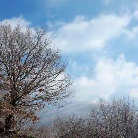 六完小家访之(60)