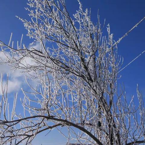 家乡最近一次降雪