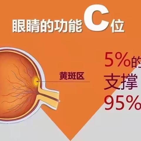 “双色球，赢睛彩”USANA护眼主题沙龙