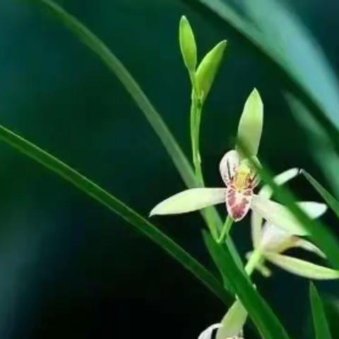 珍爱生命，预防溺水——广兴村、老龙村“小伙伴防水安全监督”教育