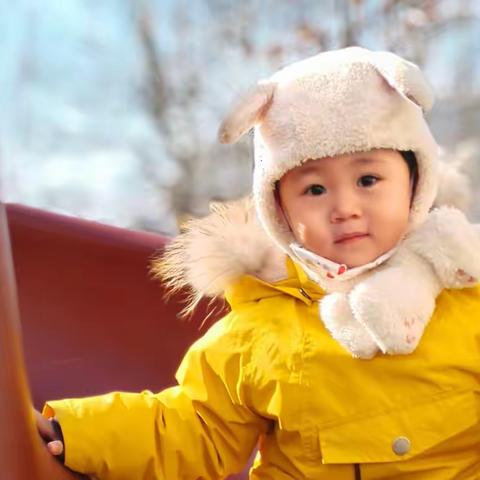 EYFS艺术与设计表现力—《动物的花外衣》