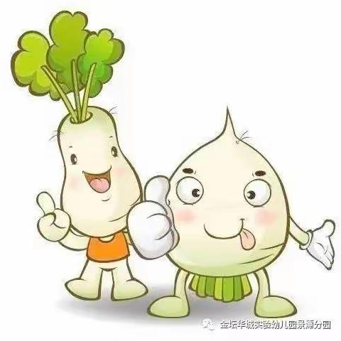 大三班班本课程故事——【秋遇萝卜】🥕🥕🥕