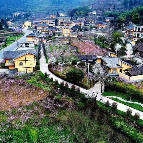 生态旅游，宜居丰乐