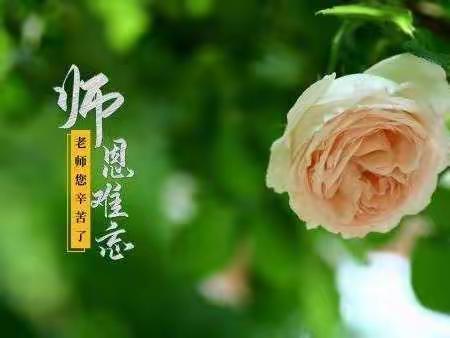 生命如歌 桃李芬芳——城关二小优秀网课教师剪影