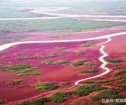 “黄河入海，我们回家”一日游