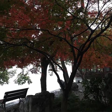 忆往昔儿时美好