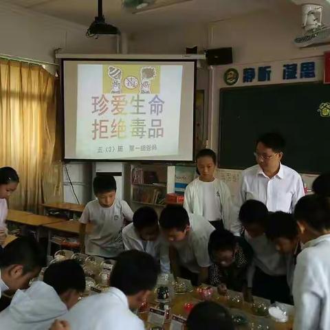 "珍爱生命，远离毒品" --2018-- 2019第一学期沧中附小五3班No.1爸妈课堂