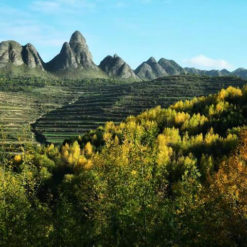 甘肃现代摄影学会“美丽秋色”摄影作品投稿