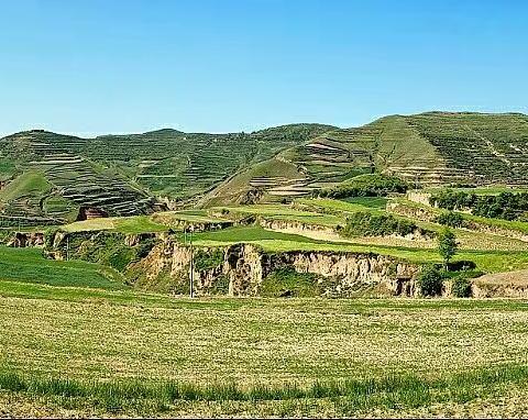 蔡家坪印象(一)   我的队友世茂同志