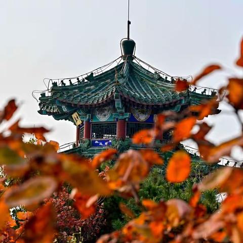 再登西山森林公园看红叶