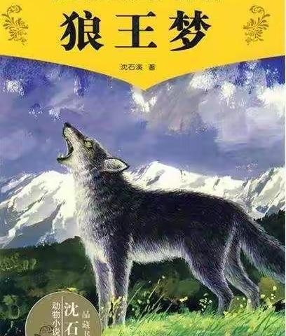 “以书为伴，不负遇见”四年级整本书阅读分享活动纪实