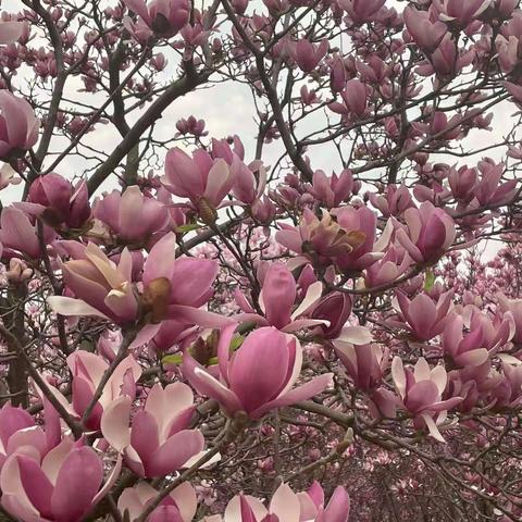 秋风暖阳促成长   教材培训有方向