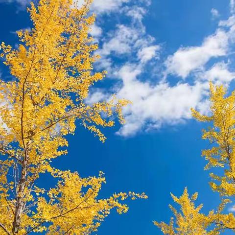 『时光为糖“幼”见美好』蓝天幼儿园·丰富多彩的幼儿园生活