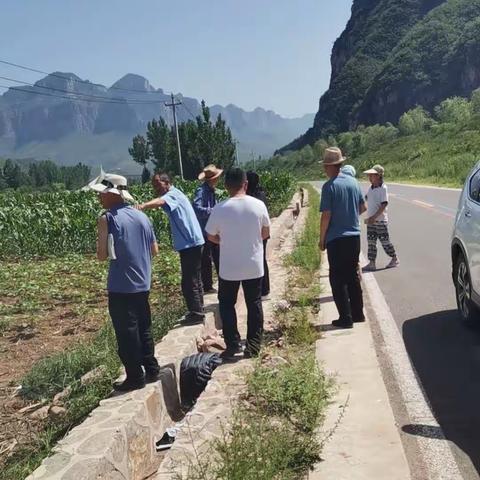 抗旱进行时，西井镇源泉村干群聚合力，齐抗旱情情况