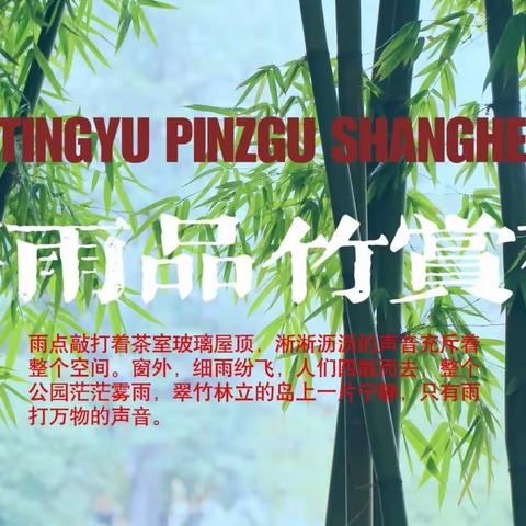 观雨品茗鉴竹赏荷捕获人生小惬意