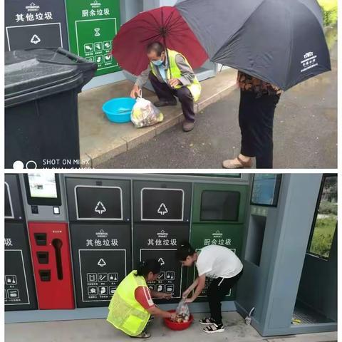 云清源-商河项目周报