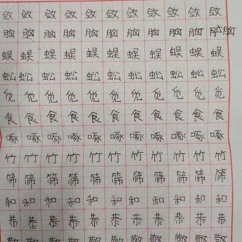 表扬以下练字认真的同学