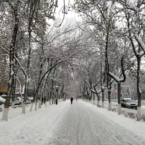 雪落无声，暖意有声，风雪中的橙色身影
