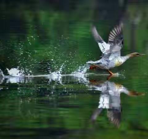 汤旺县第一小学首届“最美的瞬间”教师摄影活动